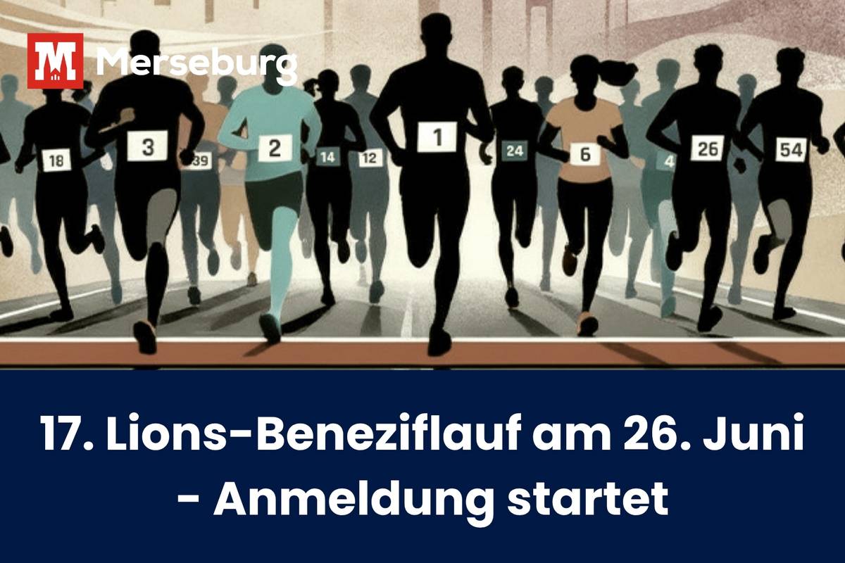 beitragsbild lionslauf