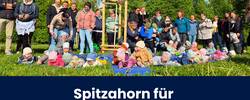 Beitragsbild Baumpflanzaktion © Pressestelle beitragsbild baumpflanzaktion