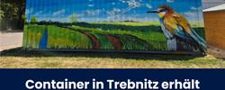 Kunstwerk auf dem Lagercontainer in Trebnitz © Pressestelle Stadt Merseburg beitragsbild container trebnitz