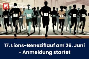 beitragsbild lionslauf