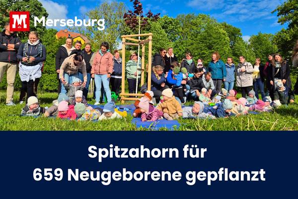 beitragsbild baumpflanzaktion