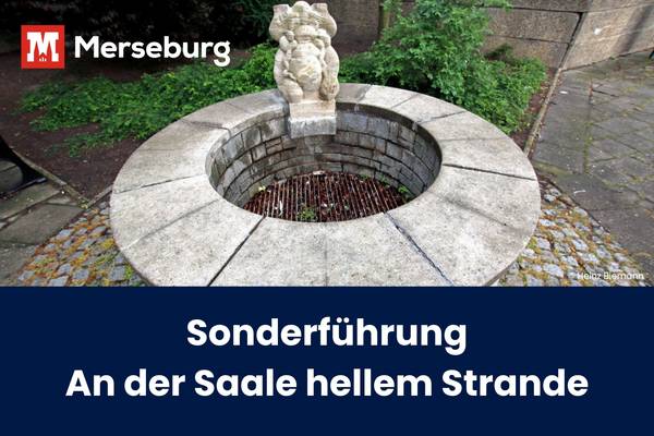 Beitragsbild An der Saale hellem Strande © Heinz Biemann beitragsbild saale
