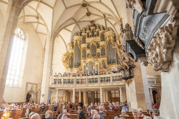 merseburger dom orgelkonzert c vereinigte domstifter foto falko matte